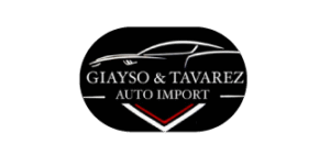 logo-gayso-import